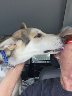 78
ALLIGATOR IS DOG 78 FOR 2026
