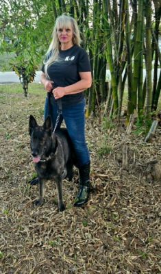 1895
BELLA 30 SABLE WITH PAVLINDA DOG 1895
