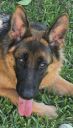 Filename=20260615_165129.jpg
Filesize=49KiB
Dimensions=346x600
Date added=Jun 16, 2026 20260615_165129.jpg