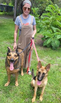 1511
PUPPY PIPER WITH NEW M OM CHRISTOIE AND NEW SISTER LULU DOG 1511
