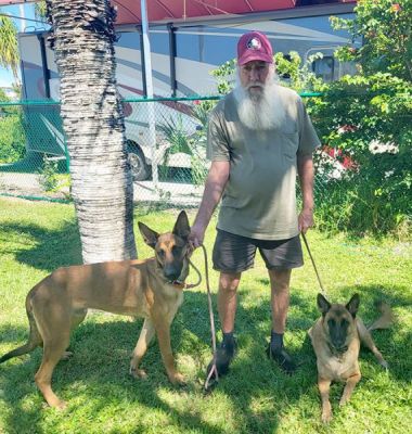 1533
ROGER WITH NEW DAD REMY AND BROTHER GIUZMO (FORMALLY CAIN) DOG 1533

