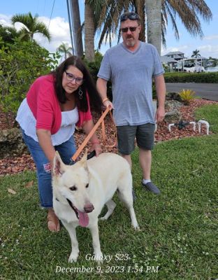 1551
MAX 25 WITH NEW MOM LIESE AND DAD ROBERT DOG 1551
