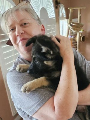 1599
PUPPY SIMON WOITH NEW MOM KARIANNE DOG 1599
