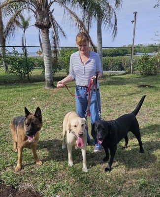 1747
NIKKI AKA ALIA WIT7H NEW MOM DEB AND BROTHERS TITO AND TOBY DOG 1747
