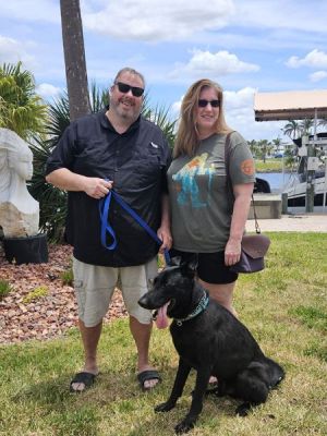 1784
NOTCHES WITH NEW MOM NANCY AND DAD TIM DOG 1784
