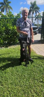 1836
ZIGGY WITH NEW DAD KEN DIOG 1836
