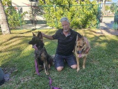 1848
PUPPY DUKE WITH NEW DAD JERRY DOG 1848
