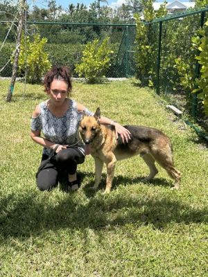 1782
TIGGER WITH NEW MOM JACKIE DOG 1782

