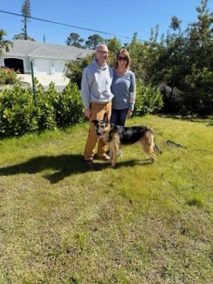 1863 1864
FINN AND SHADOW WITH NEW MOM LYNDA AND DAD BOB DOGS 1863 1864
