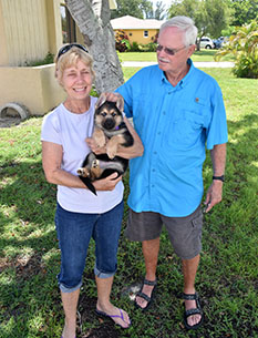PUPPY PURPLE WITH MOM SANDRA AND DAD PETE DOG 708
