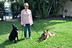 ZEUS AKA HUNDER WITH SIS LULU AND NEW MOM CHRISTIE DOG 632
