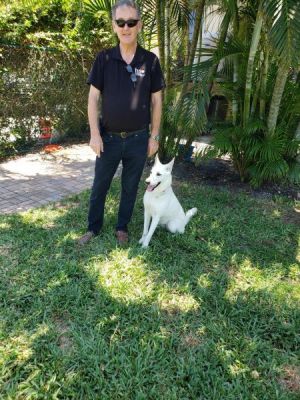 BEAR (AS IN POLAR) WITH HER NEW DAD PAUL DOG 920
Keywords: 920