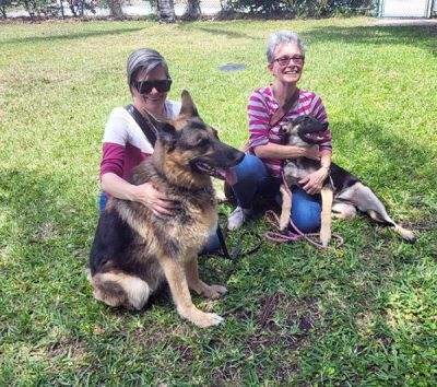 CARMA WITH NEW MOM PAULETTE AND SISTER SHADOW DOG 1320
Keywords: 1320