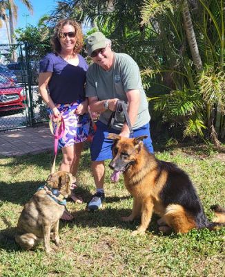 REX AKA WOLFIE WITH NEW MOM TANIA AND DAD JOHN WITH NEW SIS DOG 1383
Keywords: 1382