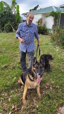 GRETCHEN WITH HER NEW DAD TOM AND SIS PEPPER DOG 1407
Keywords: 1407