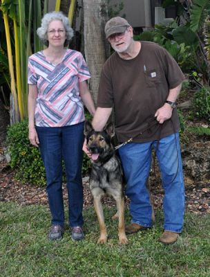 BUDAPEST JACK WITH MOM JANE AND DAD DAVID DOG 906
Keywords: 906