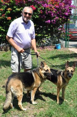 NOAH AND COCO WITH THEIR NEW DAD DAVID DOGS 1118 AND 1119
Keywords: 1118-1119