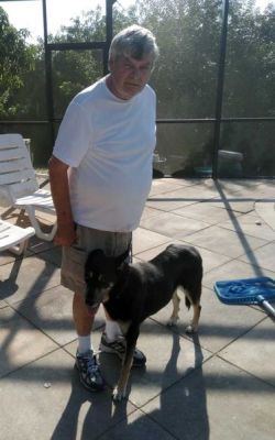 LEO AKA MAX WITH NEW DAD STAN DOG 1278
Keywords: 1278