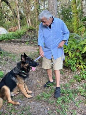 BRUCE WITH NEW DAD SID DOG 1421
Keywords: 1421