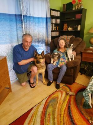 SABLE WITH NEW MAM JANNA AND DAD JOHN WITH THEIR LITTLES DOG 1275  FOSTER FAILURES!
Keywords: 1275