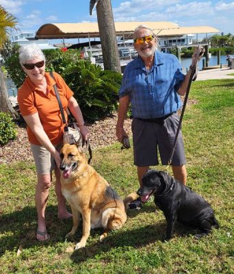 BEAR25 WITH MOM JUNE AND DAD DAVE DOG 1297
Keywords: 1297