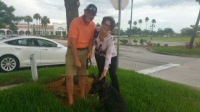 STELLA WITH NEW MOM REBECCA AND DAD GEORGE WITH BROTHER BEAR DOG 891
Keywords: 891