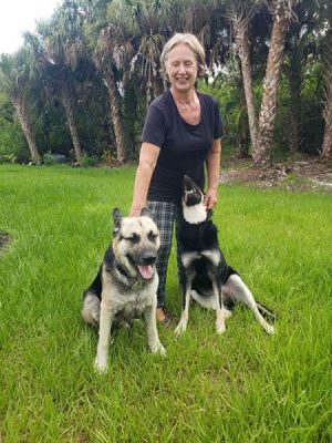 GUNNER AKA BO WITH MOM EWA AND SISTER DOG 1238
Keywords: 1238