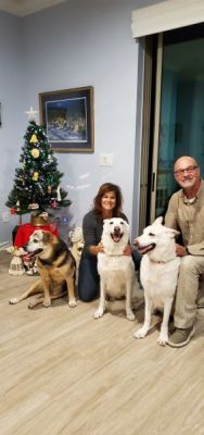 JOSE AND NADEEN BOTH WERE ADOPTED BY FRANK AND DEB DOGS 981 982
Keywords: 981 982