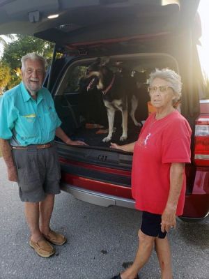 APPOLLO AKA BANDIT WITH MOM JUDY AND DAD PAUL DOG 1142
Keywords: 1142