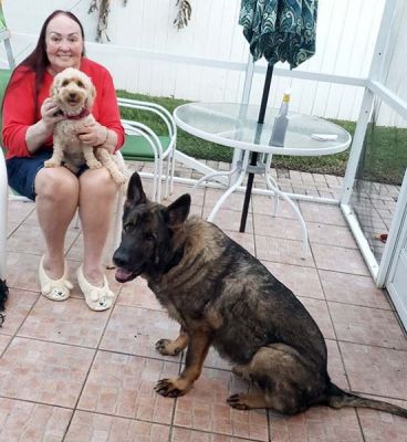 GUSTOV AKA GUS WITH NEW MON NANCY AND SISTER CUPCAKE DOG 1183
Keywords: 1183