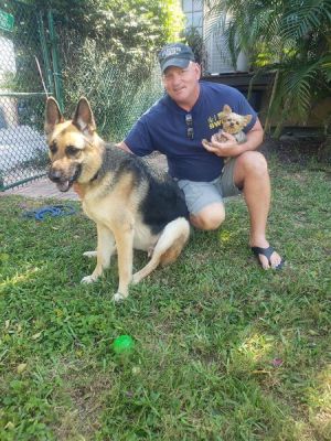 HERCULES WITH NEW DAD MAZRK AND SIS MAGGY DOG 1270
Keywords: 1270