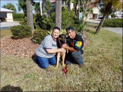 KILO WITH MOM NORMA AND DAD DOG 855
Keywords: KILO WITH NEW MOM NORMA (FORMERLY BLAZE) DOG 855