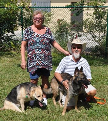 NOAH PUPPY1 WITH DAD WALT AND MOM JUDY AND NEW SISTER  DOG 968
Keywords: 968