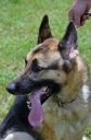 Filename=CAN_0212.JPG
Filesize=47KiB
Dimensions=233x352
Date added=Sep 24, 2016 CAN_0212.JPG