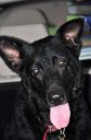 Filename=E_FACE.jpg
Filesize=39KiB
Dimensions=398x600
Date added=Jan 01, 2021 E_FACE.jpg