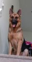 Filename=IMG_20160925_164559103.jpg
Filesize=33KiB
Dimensions=233x450
Date added=Oct 02, 2016 IMG_20160925_164559103.jpg