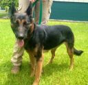 Filename=NALA.jpg
Filesize=55KiB
Dimensions=400x388
Date added=Nov 13, 2014 NALA.jpg