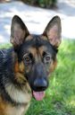 Filename=P2.jpg
Filesize=42KiB
Dimensions=398x600
Date added=Jul 28, 2017 P2.jpg