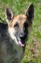 Filename=ROXIE.jpg
Filesize=49KiB
Dimensions=233x351
Date added=Jun 27, 2015 ROXIE.jpg