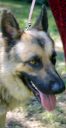 Filename=W3.jpg
Filesize=30KiB
Dimensions=311x600
Date added=May 10, 2017 W3.jpg