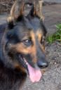 Filename=bruno_face.jpg
Filesize=35KiB
Dimensions=409x600
Date added=Apr 13, 2017 bruno_face.jpg
